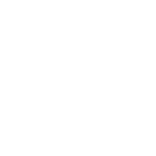 Social Media Management​